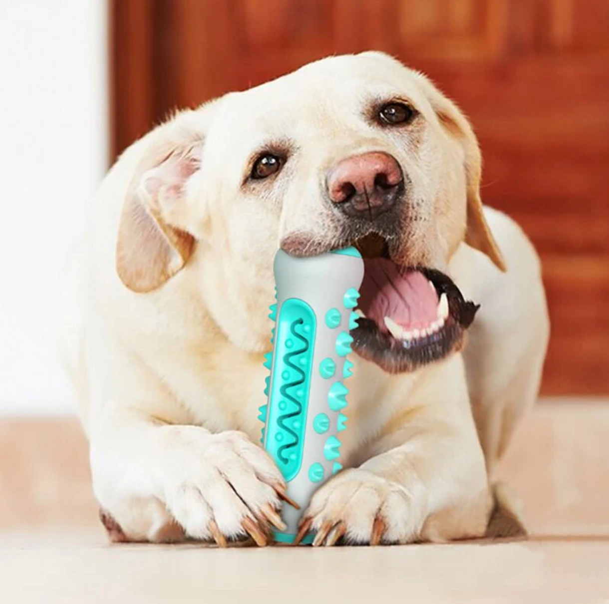 Chew toy for dogs