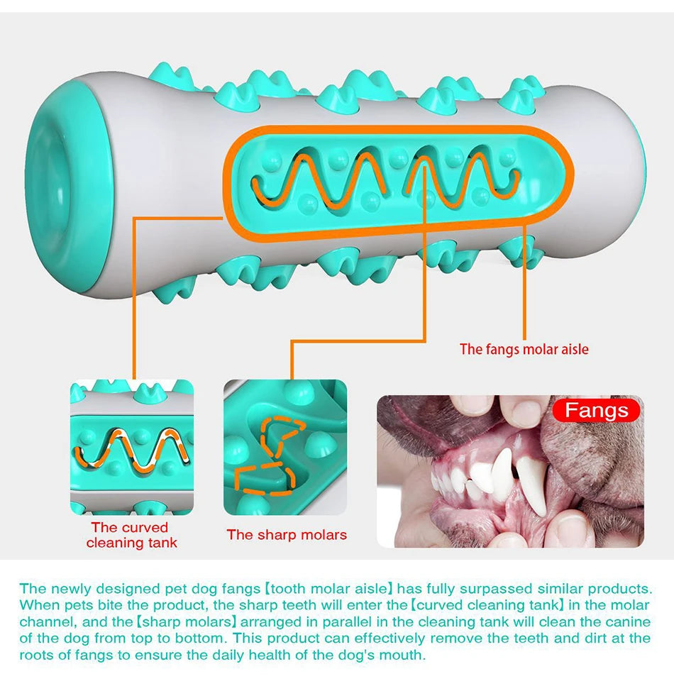 Chew toy for dogs