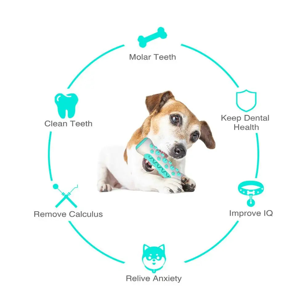 Chew toy for dogs