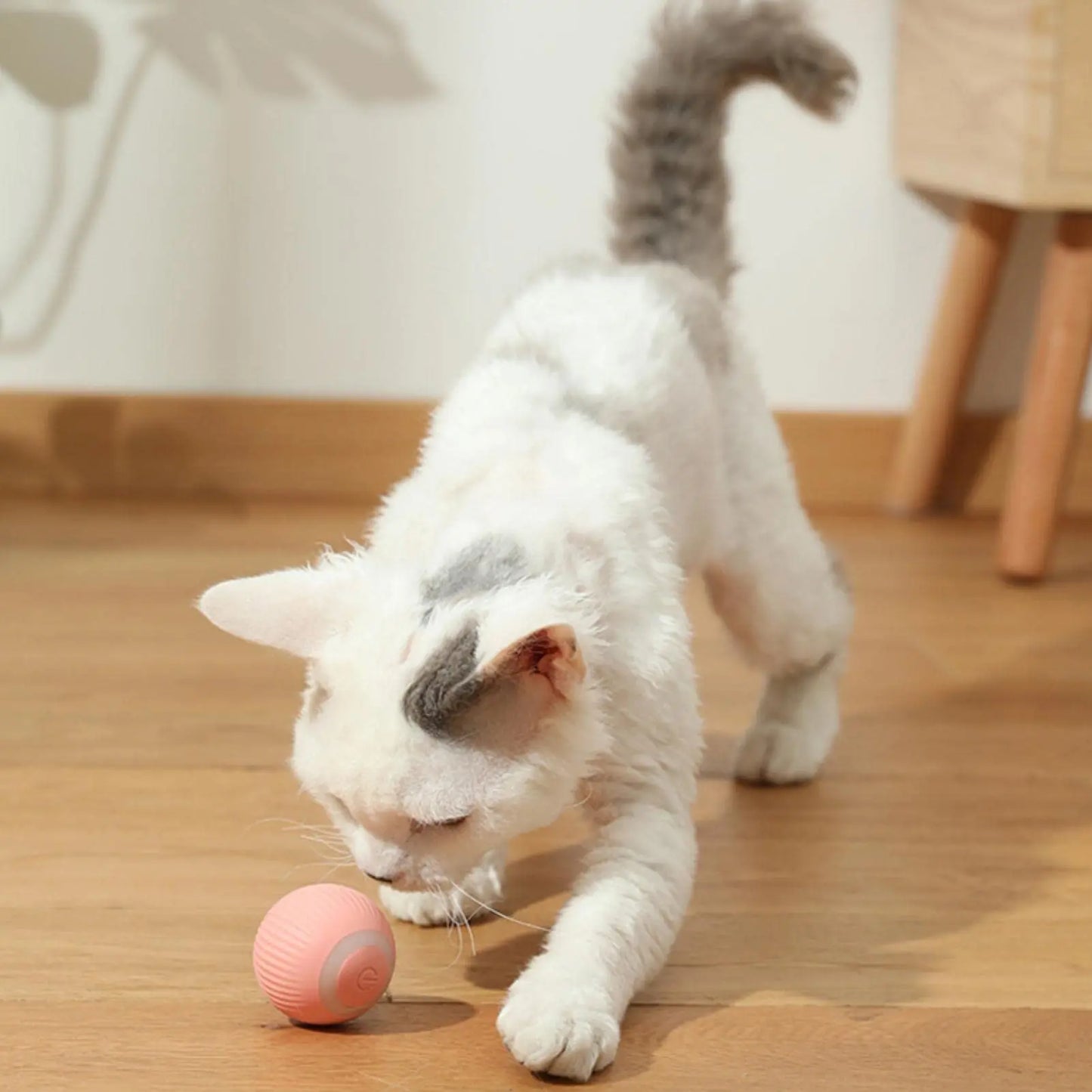 Smart toy for kittens, automatic rolling ball with movement for indoor play