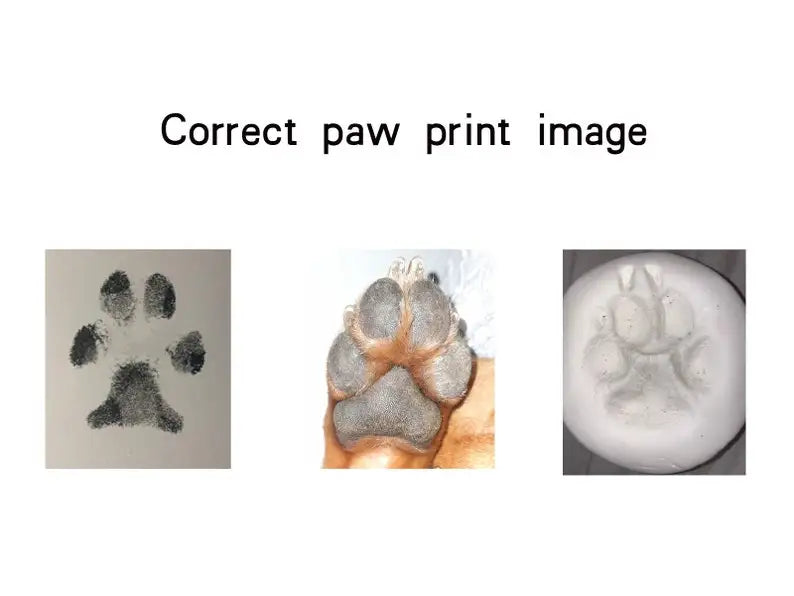 Personalized bracelet with your pet's paw. For cats and dogs!