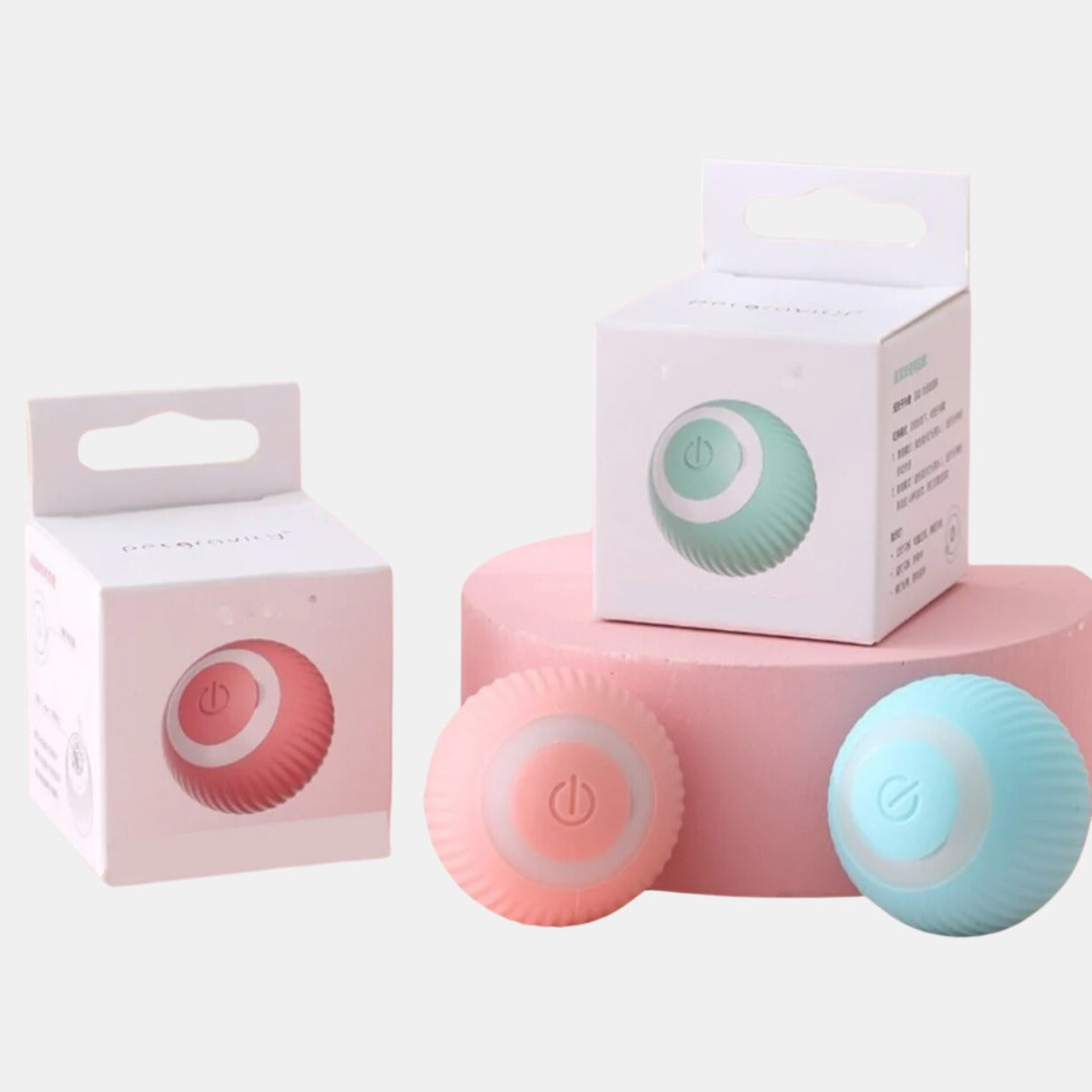 Smart toy for kittens, automatic rolling ball with movement for indoor play