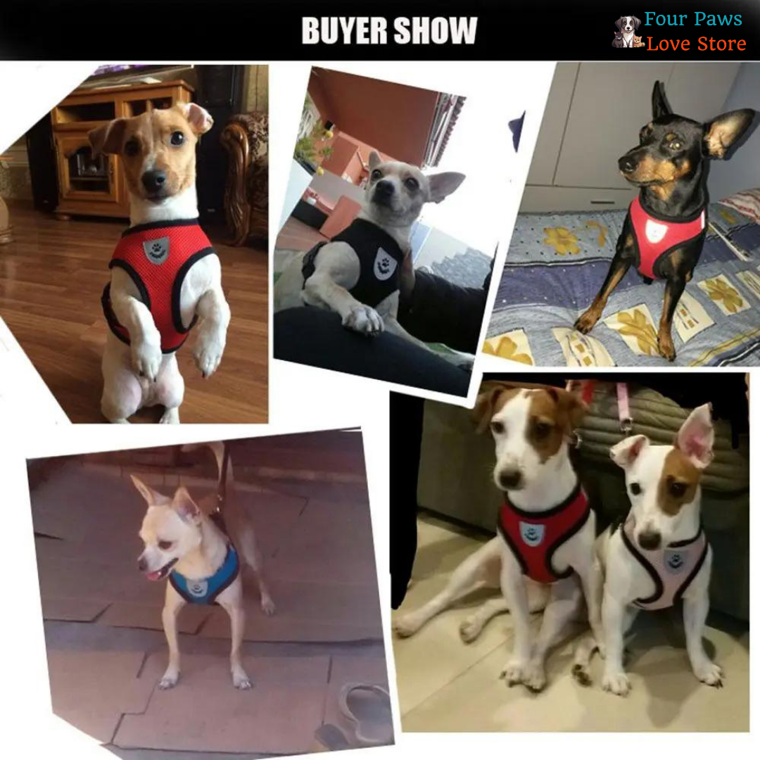 Anti-pull Harness Comfort for Pets - Providing softness and comfort for dogs and cats.