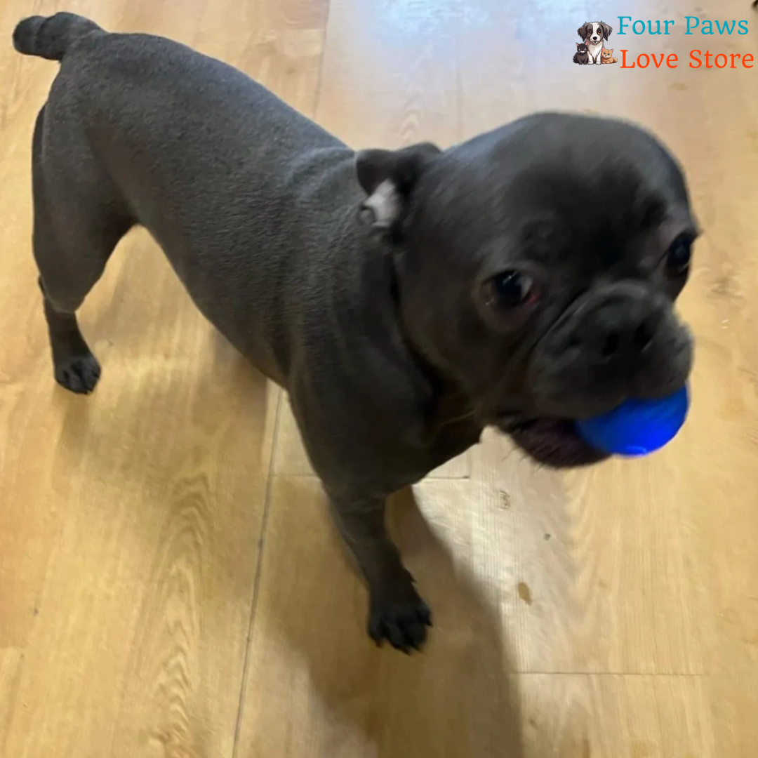 Gravity Motion Ball Led.