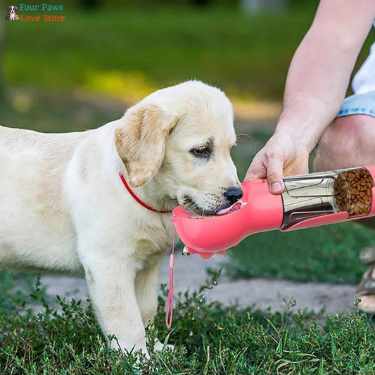 Multi-Pet Thirst Quencher
