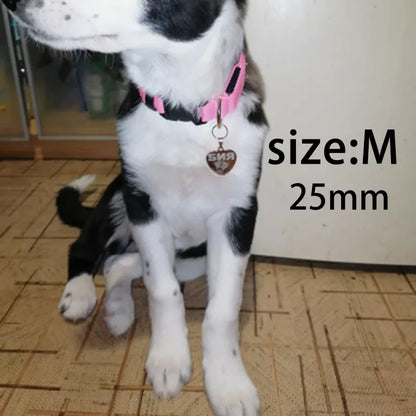 Heart pendant with identification for pets
