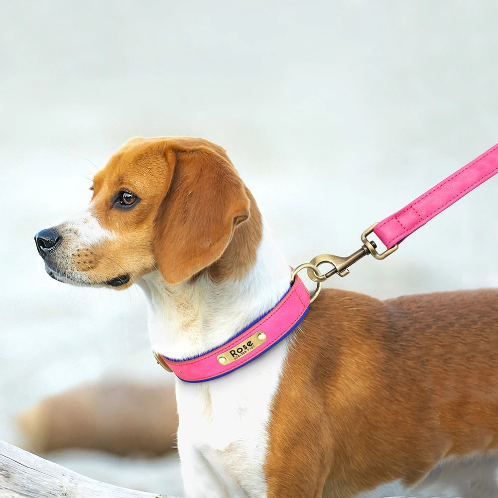 Set of personalized leather dog collars: Luxe Paws Edition