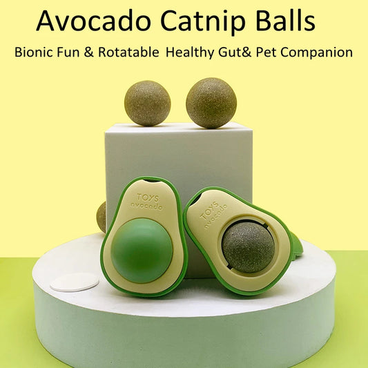 fun avocado catnip toy