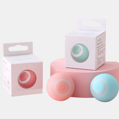 Smart toy for kittens, automatic rolling ball with movement for indoor play