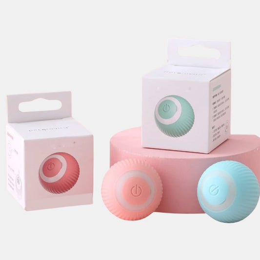 Smart toy for kittens, automatic rolling ball with movement for indoor play